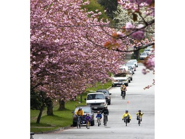 April 21, 2007: Spring explodes in colour on the west side of Vancouver.