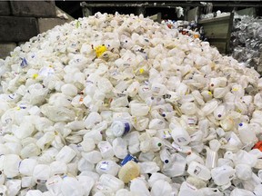A large pile of plastic milk jugs is sorted inside a recycling depot in New Westminster.