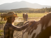 Fancy yourself a cowboy? Test your skills at one of the many guest ranches along the Cariboo Chilcotin Coast.