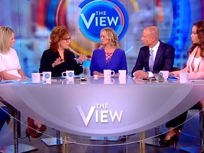 In this screenshot, porn actress Stormy Daniels is interview on "The View" on Apr. 17, 2018.