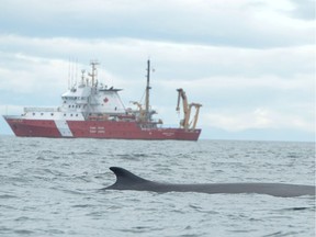 The coast guard vessel John P. Tully will be carrying out surveys this summer.