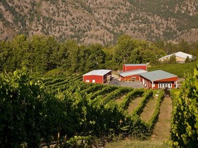 Meyer Family Vineyard in Okanagan Falls.