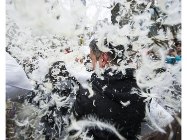 Feathers from a burst pillow fill the air at pillow fight on the Robson street plaza side of the Vancouver art Gallery to celebrate International Pillow Fight Day, Vancouver, April 07 2018.