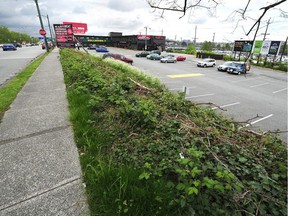 The City of Vancouver owned lot at the southern end of Granville Street near the banks of the Fraser River is part of the Marpole Midden.