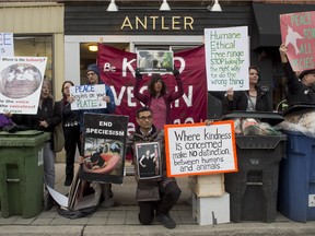 A group of animal rights protesters hold signs on the sidewalk in front of Antler Kitchen and Bar in Toronto on April 12.