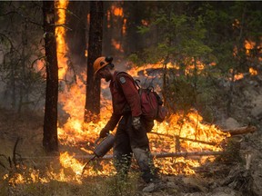 A B.C. Wildfire Service firefighter uses a torch to ignite dry brush while conducting a controlled burn to help prevent the Finlay Creek wildfire from spreading near Peachland in 2017.