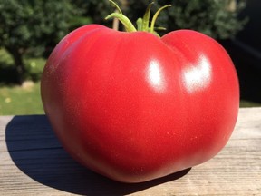 It's hard to beat a plump, juicy, homegrown tomato!.