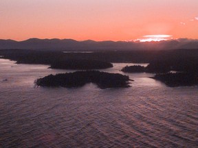 Police are investigating after what appeared to be the remains of a human foot were found inside a boot stuck in a logjam on Gabriola Island.