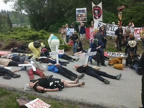 crowd of protesters staged a "die-in" at Kinder Morgan's facility in Burnaby on Wednesday, May16, 2018 to illustrate some of the risks of the polarizing Trans Mountain project.