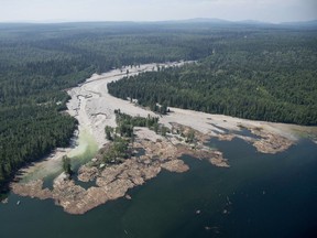 Contents from a tailings pond is pictured going down the Hazeltine Creek into Quesnel Lake near the town of Likely, B.C. on August, 5, 2014. British Columbia Premier John Horgan says he was shocked to learn that no provincial charges will be laid in the 2014 collapse of the tailings dam at the Mount Polley mine.