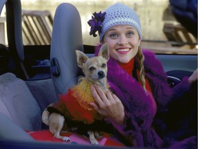 Bruiser was the chihuahua star of Reese Witherspoon's smash hit Legally Blonde. The first set of casting auditions are for small dogs only, but bigger dogs get their chance later in the month.