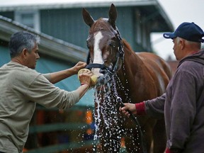 Canadian Tanya Gunther is quite the matchmaker. On Saturday, Justify will attempt to win the Belmont Stakes and become the 13th thoroughbred - and second since 1978 - to clinch the U.S. Triple Crown. It was Gunther who paired Justify's parents after poring over their respective bloodlines. Kentucky Derby winner Justify is washed outside a barn, Friday, May 18, 2018, at Pimlico Race Course in Baltimore. The Preakness Stakes horse race is schedule for Saturday.