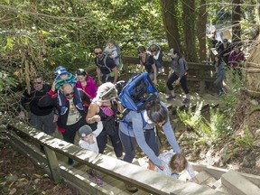 Hikers climb the steps on the Baden Powell Trail in Deep Cove Saturday toward Quarry Rock. The District of North Vancouver plans to limit hikers on the overcrowded trail, starting May 18.