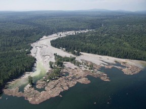 Contents from a tailings pond are pictured going down the Hazeltine Creek into Quesnel Lake near the town of Likely on Aug. 5, 2014. Millions of cubic metres of mine waste gushed from the pond at the Mount Polley mine in B.C.'s Interior.