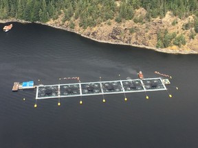 This Grieg Seafood fish farm in the Jervis Inlet was one of two hit by a deadly algae bloom in the first week of June.