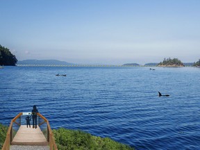 An artist's rendering of a planned whale sanctuary, which could be located in Nova Scotia or Washington state, shown in a handout.THE CANADIAN PRESS/HO- Whale Sanctuary Project