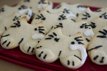 Kitten cookies were available after a Kitten Yoga session held at Yoga Spirit and Wellness in Burnaby on June 16.