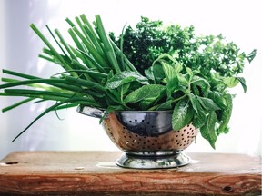 Parsley, mint and green onion are anytime flavours.