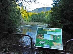 Golden Ears Provincial Park. B.C. Parks is giving preference to B.C. residents this summer as COVID-19 camping restrictions lift.
