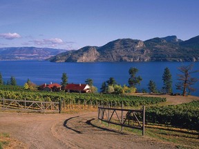 The Fitzpatrick Family Vineyards, located 10 minutes south of Peachland and 10 minutes north of Summerland, is on the old Greata Ranch property overlooking Okanagan Lake.