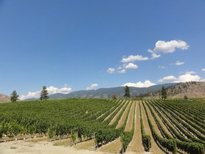 Wild Goose Vineyards and Winery in Okanagan Falls pulled off an impressive double, taking both best white and best red wines of show at the recent All Canadian Wine Championships.