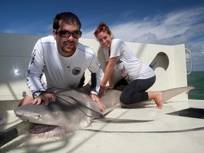 David Shiffman is a post-doctoral research fellow at Simon Fraser University who is critical of Discovery Channel's Shark Week for sensationalizing the at-risk marine creatures. He is depicted here with a lemon shark, during his PhD research in the Florida Everglades.