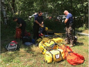 Rescuers were called out to Buntzen Lake on Sunday afternoon after a hiker was stung by hornets.