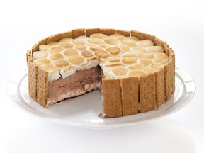 S'mores ice cream cake from the cookbook The Perfect Cake.
