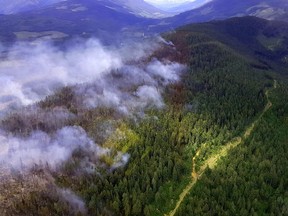 The Hobo Creek wildfire, about 35 km southeast of Golden, B.C., photographed from the air on July 30, 2018. Widespread campfire bans go into effect this week as hot, dry conditions persist across the province.