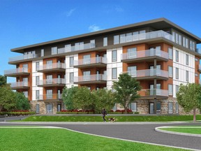 An artist's rendering of condominiums at Marigold, a project from Marigold Lands Ltd. in Saanich. [PNG Merlin Archive]