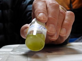 Feb. 12, 2018 -- Water sampling being done on board Akademik Ioffe for Ocean Wise Conservation Association (aka Vancouver Aquarium). The photo of the vial shows a rather large fibre. The greenish tinge to it is from the algae and other phytoplanktons.