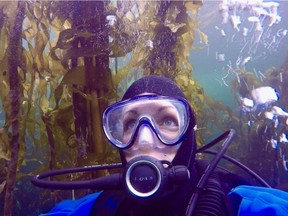 Jenn Burt and her team spent 500 hours underwater examining the interactions between sea otters, urchins, stars and kelp. (Photo: Jenn Burt)