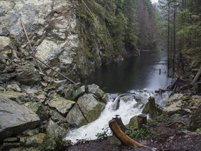 A lake formed above a rock slide that blocked the Seymour River in North Vancouver in 2014.