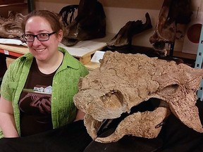 Dr. Victoria Arbour with the skull of Zuul crurivastator in the Royal Ontario Museum palaeontology collections.