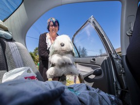 Marla Handley holds her stuffed toy dog Rory, named in honour of their beloved pet that died at age 14. A couple had broken the window of her car because they were worried the dog in the rear seat was overheating and non-responsive.