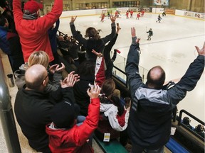 Parents should remember they are setting the example when watching their children play sports.