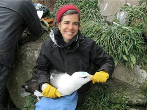 Gabrielle Nevitt is a researcher in the department of neurobiology at the University of California, Davis, and an authority of birds' ability to smell. She is depicted here with a blackbrowed albatross at Kerguelen Island in the southern Indian Ocean.