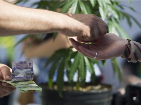 FILE PHOTO: Money changes hands at a vendor in the market of the annual 4:20 marijuana event at it's new location, Sunset Beach, Vancouver April 20 2016. The sale of clones, or seedlings will be illegal in B.C. under news laws. Instead, homegrowers will have to buy seeds from the B.C. Liquor Distribution Branch.