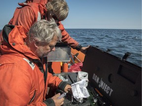 Dr. Martin Haulena of the Vancouver Aquarium and Jeff Foster of the Whale Sanctuary Project, prepare antibiotics to administer to J50, Aug. 9, 2018.