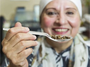 Dr Yasmin Akhtar. holds up a spoon of dried crickets.