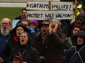 Kwakwaka'wakw Nations and supporters protest fish farms in their traditional territories during a demonstration at the legislature in Victoria on Nov. 2, 2017.
