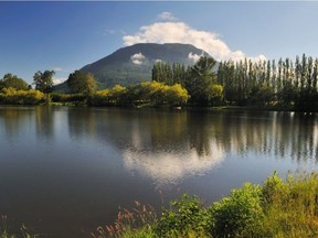 Hatzic Lake has been closed to swimming following reports of nausea, stomach cramps, itchy skin and eye irritations from local residents.