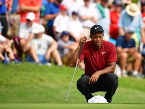 Tiger Woods lines up a putt on the 12th green at the PGA Championship on Aug. 12.