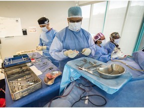 FILE PHOTO: Dr. Javer (pink/white cap) and his team performs sinus surgery on a patient at False Creek Surgery Centre in Vancouver, B.C., April 20, 2017.