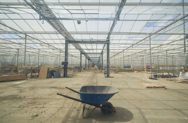 A cannabis greenhouse under construction at Pure Sunfarms in Delta, Aug. 1, 2018.