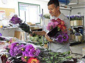 John Van Gameren  of Van Gameren Flowers in Chilliwack, checks his crop.