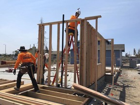 In this Friday, August 10, 2018, photo construction workers, from left, Mario Camacho, Armando Guzman and Jose Caranco work on a house in the Coffey Park neighborhood of Santa Rosa, Calif. The Trump administration's tariffs have raised the cost of imported lumber, drywall, nails and other key construction materials, squeezing homeowners who seek to rebuild quickly after losing their houses to natural disasters, such as the wildfires that destroyed Coffey Park.