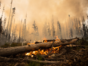 A wildfire burns on a logging road about 20 kilometres southwest of Fort St. James on Aug. 15.