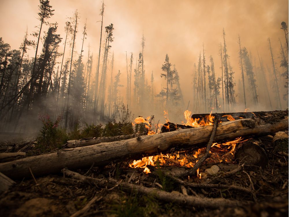 B.C. Wildfire Emergency Prompts Re-booking Options From Air Canada ...