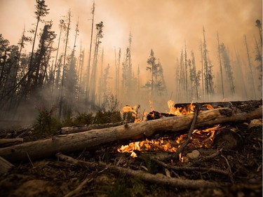 A wildfire burns on a logging road approximately 20 km southwest of Fort St. James, B.C., on Wednesday, August 15, 2018. The British Columbia government has declared a provincial state of emergency to support the response to the more than 500 wildfires burning across the province.